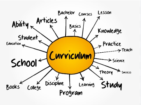 Curriculum